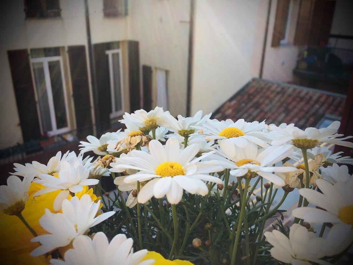Da Coco E Mini,L'Angolo Per Ceramiste In Viaggio - Faenza Exterior foto